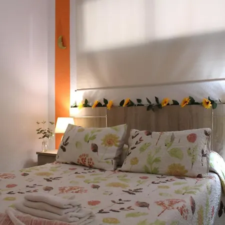 Surycan Summer Style Apartment